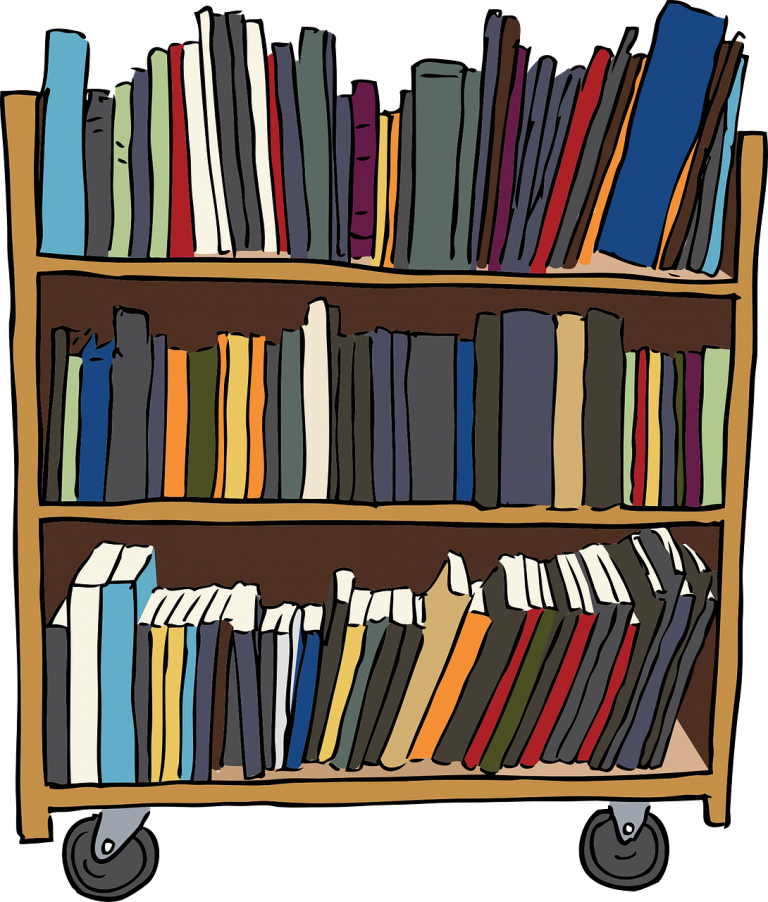 bookshelf, bookcase, furniture
